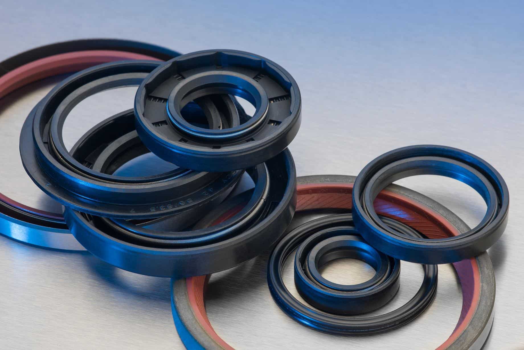 Industrial & Oil Seals