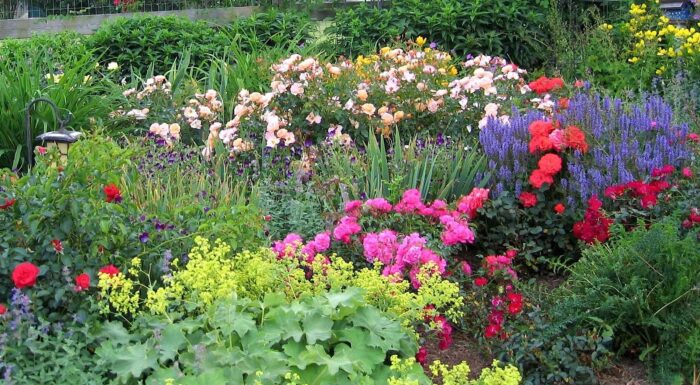 Fresh Flowers and Plants