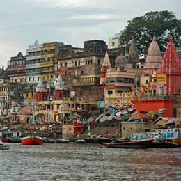Uttar pradesh Suppliers